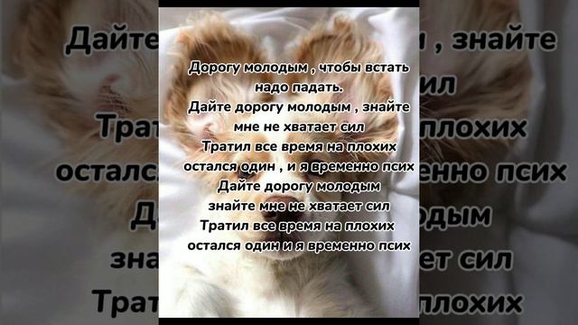 Допой песню 💖 Дорогу молодым🌈 По запросам⭐ #дорогумолодым #рек #подпишись