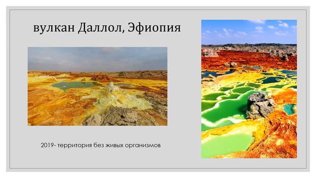 Лекция 13 Астробиология