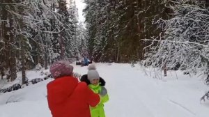 Мои новогодние каникулы в деревне! Псковская область. Красногородский район.