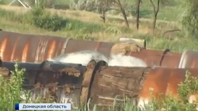 свежие новости