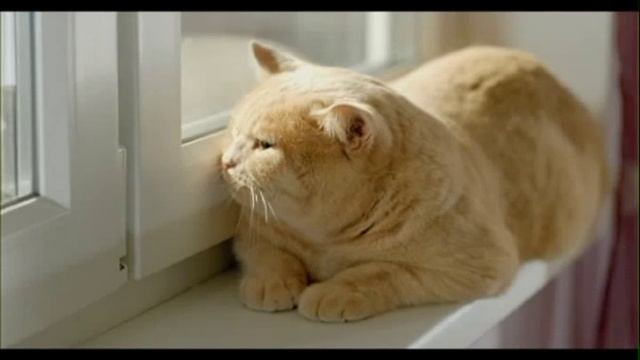 Окна Декёнинк (Deceuninck) смотреть онлайн