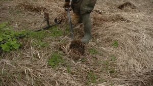 Поехал за черметом, но пошла старина...#415