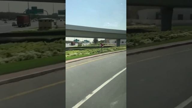 Free zone vs. Mainland companies in the UAE, which is better? смотреть онлайн