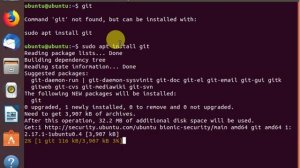 ?Install Git on Ubuntu 18.04.2 LTS (No Audio)