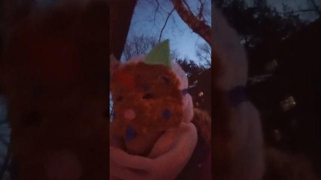 как найти друзей квадроберов #квадробика #териан #ставьлайк #друзья смотреть онлайн