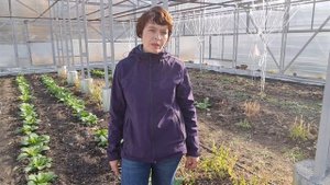 Циклантера. Школа продвинутого садовода