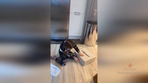 Дочка Ксении Бородиной Тея получила предновогодний подарок