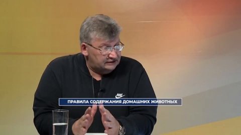 Правила содержания домашних животных