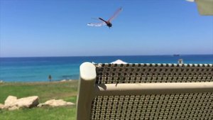 Кипр, Пафос Отель и окрестности CAPITAL COAST RESORT