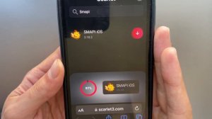 How To Download SMAPI on iOS & Android