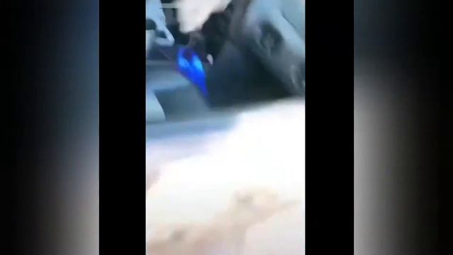 Чуток кача. Треним сальто. Соня весело поёт. смотреть онлайн