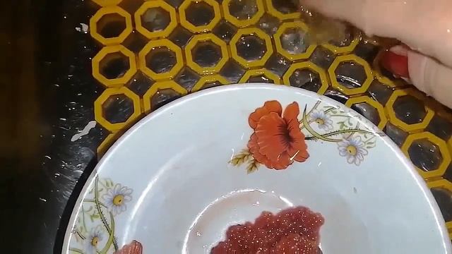 КАК ЗАСОЛИТЬ ИКРУ ДОМА / ЗАПЕКАЕМ ГОЛЕЦ / Как очистить икру от плёнки