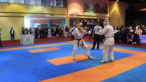 ? Чемпионат и Первенство Мира по всестилевому каратэ ? 6849