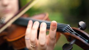 Парк им. Букреева П. В, посёлок Гончарка