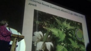 Медоносные растения Медоносы И Медопродуктивность