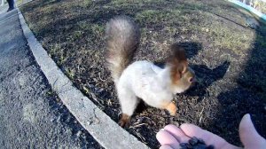 санаторий Шахтёр(Прокопьевск)