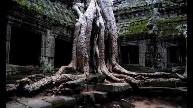 ПРАКТИКА БХАКТИ ЙОГИ. О ФИЛОСОФИИ И ПРАКТИКЕ БХАКТИ ЙОГИ. смотреть онлайн