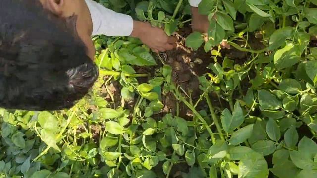 Agree 80 puls result смотреть онлайн