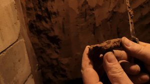 РОЮ ШТОЛЬНЮ