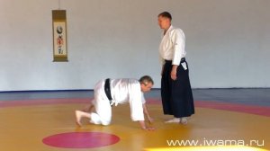 Айкидо Ивама Рю. Ёкомен учи санкё омоте. Aikido Iwama Ryu. Yokomen uchi sankyo omote.
