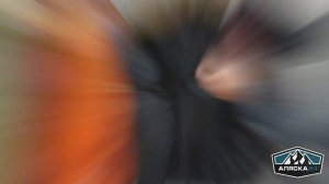 ALPHA INDUSTRIES N-2B / Обзор укороченной аляски / alyaska24.ru