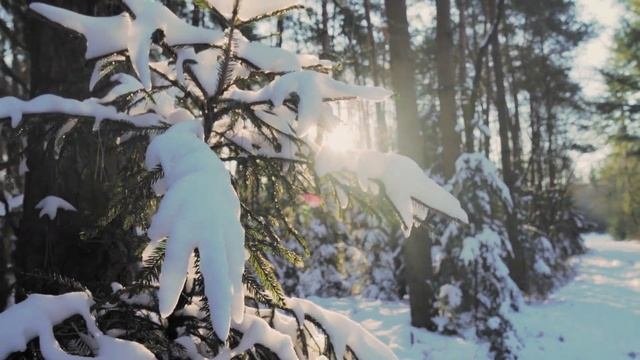13 февраля лунный календарь. Фаза луны сегодня. Лунный знак. 14 лунные сутки / Татьянин день.