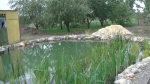 Плавательный пруд площадью 110 м2 (часть1)