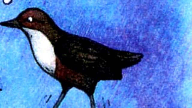 М.Д.Зверев сказка "Хлопот полон рот у природы" смотреть онлайн