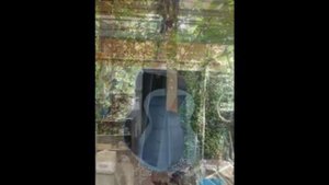 Полка из старой гитары