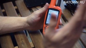 Базовые настройки Garmin Astro 430 и Garmin Alpha 50