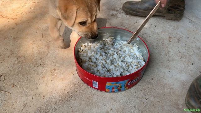 My wife and I completed the chicken coop, enjoyed the meal, and stayed with me for a happy night смотреть онлайн