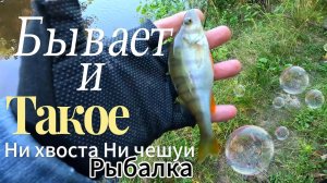 БЫВАЕТ И ТАКОЕ НИ ХВОСТА НИ ЧЕШУИ РЫБАЛКА