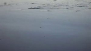 рыболовная снасть кораблик