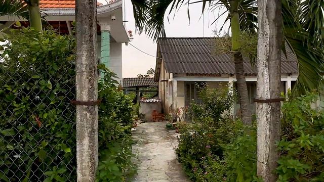 Деревня Вьетнама/Vietnamese Countryside. Вьетнам 2020/ Vlog/ #вьетнам2020 #vietnam