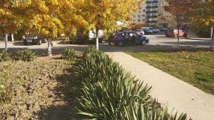 9 ноября . Погода в Краснодаре. Лето в ноябре. Переезд в Краснодар. Яблоновский