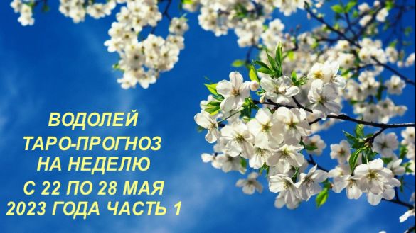 ВОДОЛЕЙ ТАРО-ПРОГНОЗ НА НЕДЕЛЮ С 22 ПО 28 МАЯ 2023 ГОДА