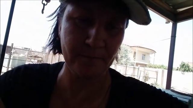 Черныш порадовал хорошим аппетитом смотреть онлайн