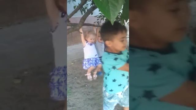 обезьянки на дереве смотреть онлайн