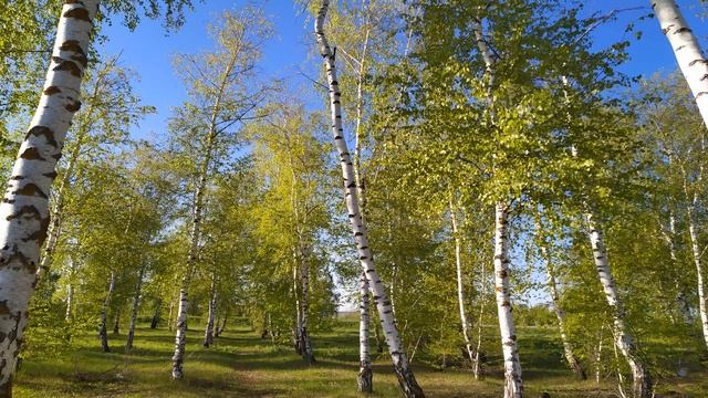 МАРК КЛЮЧНИК 8 мая.Что нельзя и что можно делать смотреть онлайн