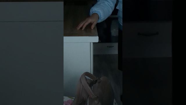 Как отучить кошку лазить по столам