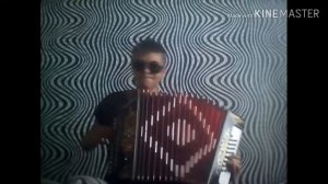 Играю "бумер мобильник" на гармони