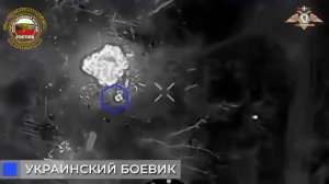 Операторы дронов уничтожают укра-террористов под Красногоровкой