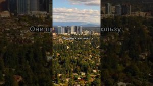 Умра в Рамадан от 1000$