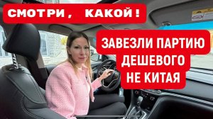 Лиса рулит - подборы, топ авто и советы