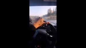ДИМА ГОРДЕЙ СЖЁГ СВОЮ ЛАМБУ ЗА 14 МИЛЛИОНОВ!
