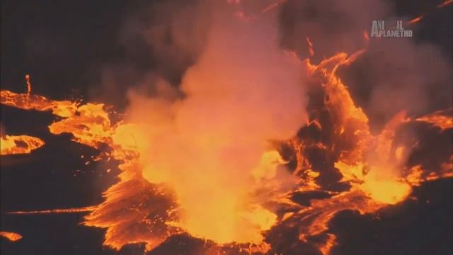 Гори Африки Висотна поясність Кіліманджаро смотреть онлайн