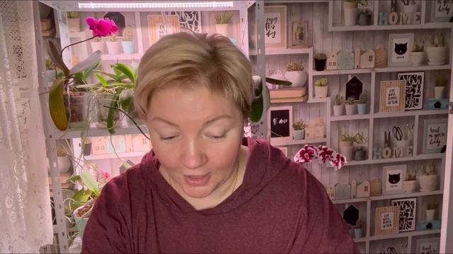 358.Просели опять лейкоциты. Прошла мамограмму. Решили жить экономно? смотреть онлайн