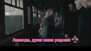 Лаванда Браун - драрри-шиппер! :)