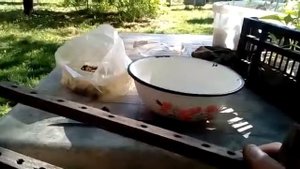 Подготовка мисочек к работе по переносу личинок .