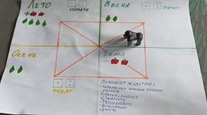 Какое бы дополнение к Эволюции сделал бы я ?